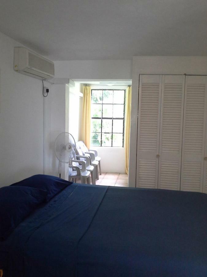 Carenage View Apartment St. George's Exterior photo